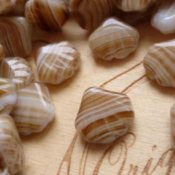 SCALLOP SHELL